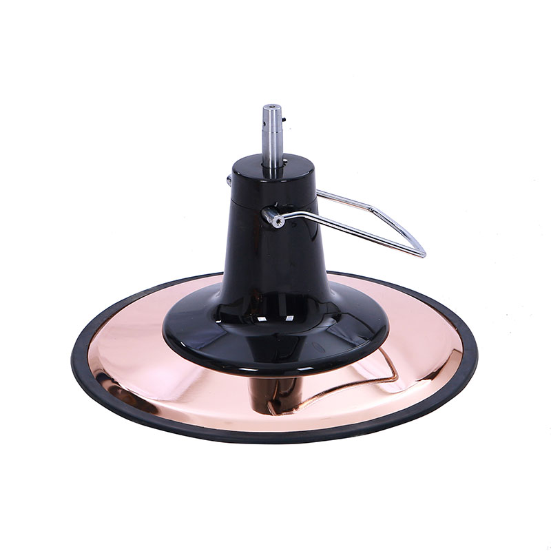 HZ22PB Vintage berber koltuğu hidrolik pompa, gül altın tabanı