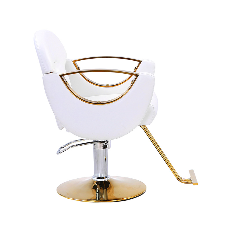 HZ8765BZ / HZ8765WZ / HZ8765PZ / HZ8765Z Hafif hizmet tipi salon sandalyesi