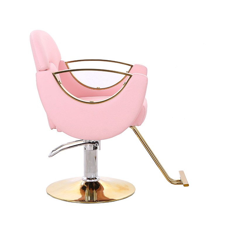 HZ8765BZ / HZ8765WZ / HZ8765PZ / HZ8765Z Hafif hizmet tipi salon sandalyesi